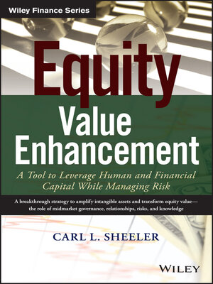 cover image of Equity Value Enhancement
